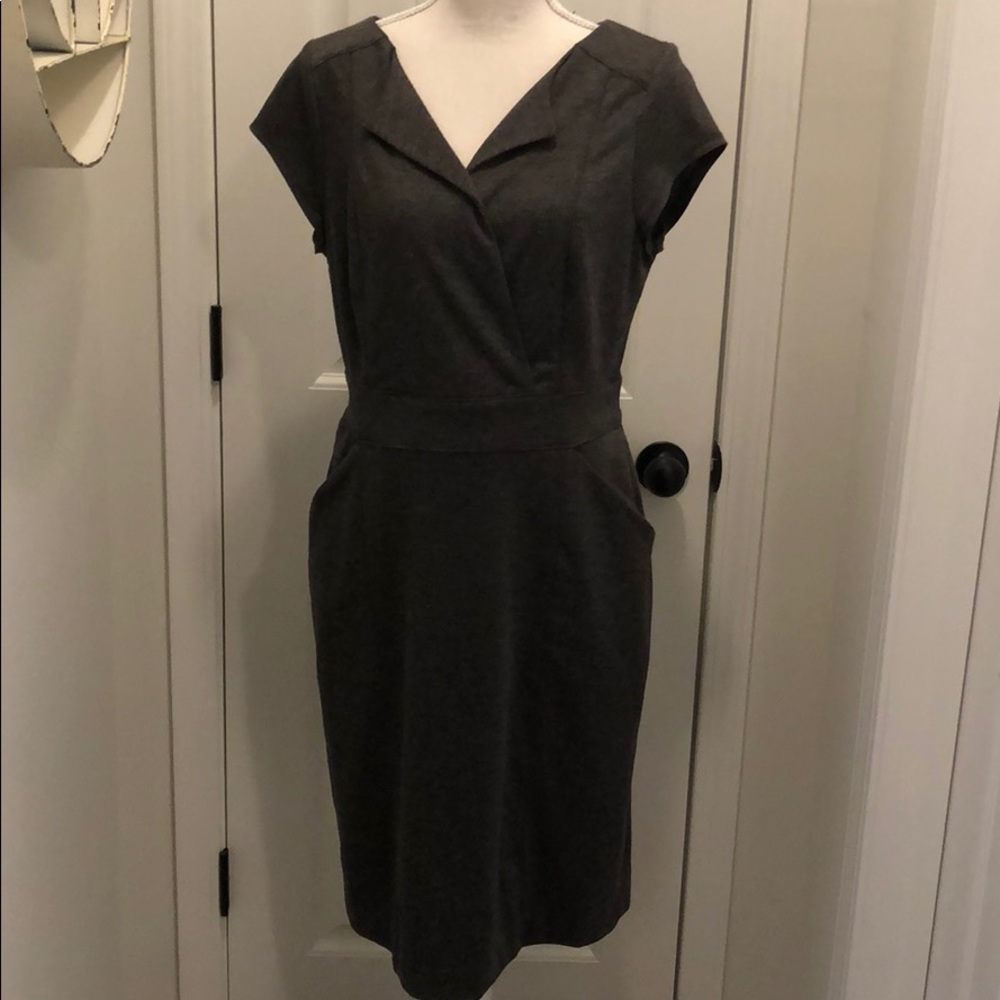 NWT the limited pocket dress